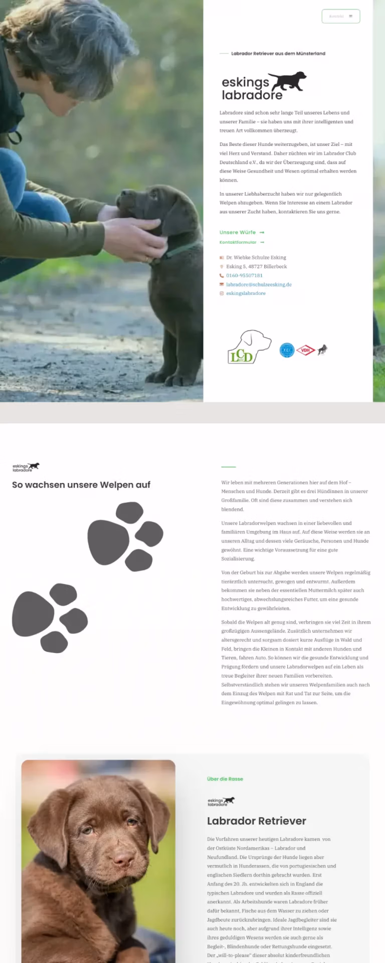 Landingpage der Labrador-Retriever-Zucht Eskings – erstellt von 3DMATTERS